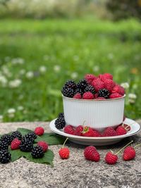 Himbeeren